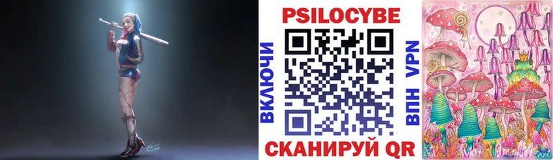 Псилоцибиновые грибы мицелий  купить  цена  Заволжск 